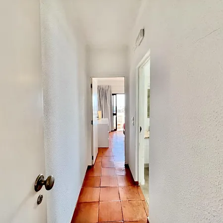 Skylight 2 With Pool By Homing